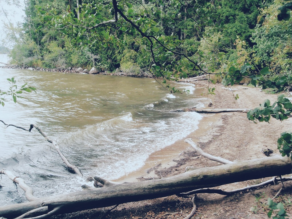 Processed with VSCO with h5 preset