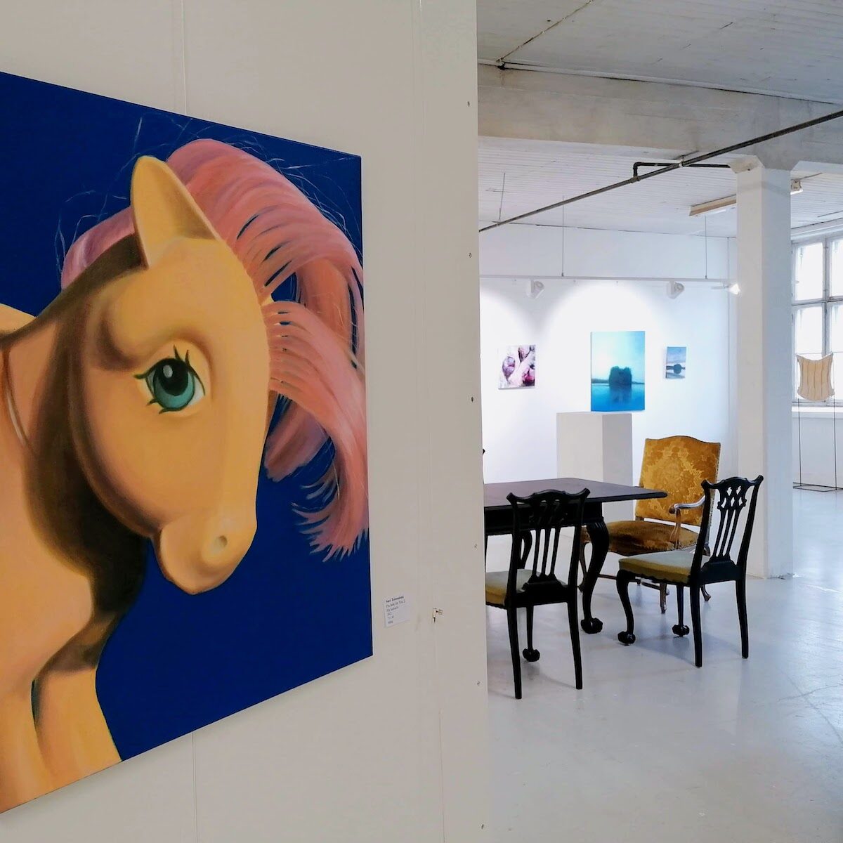 Salon Taiteilijaseura, Taidelainaamo, Suvi Toivoniemi, Poni